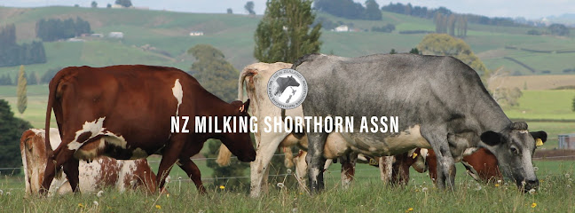 NZ Milking Shorthorn Assn