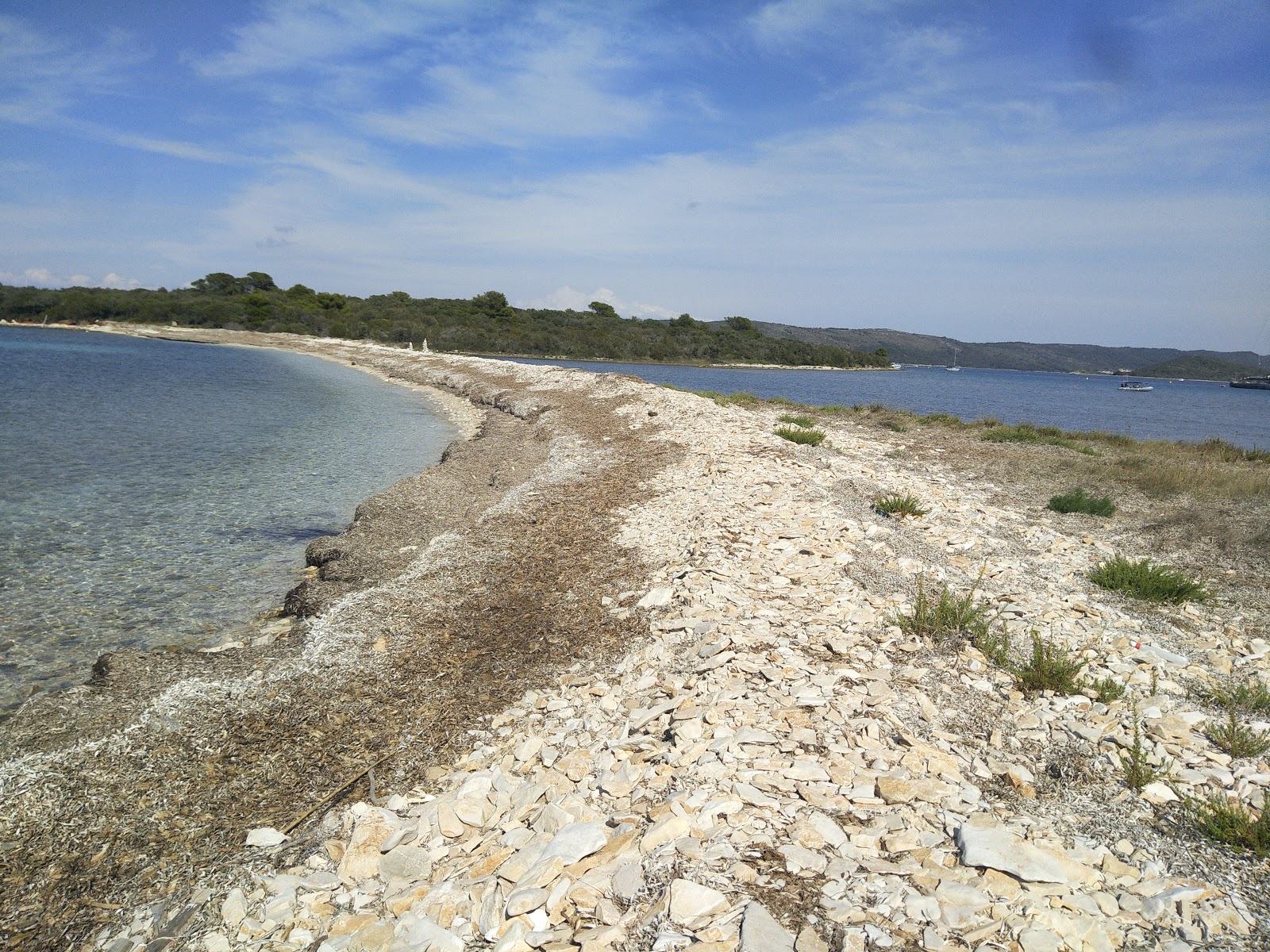Zdjęcie Natural Bridge beach z powierzchnią turkusowa czysta woda