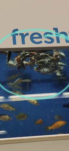 Pet Supply Store «Petco Animal Supplies», reviews and photos, 339 Squire Rd #108, Revere, MA 02151, USA