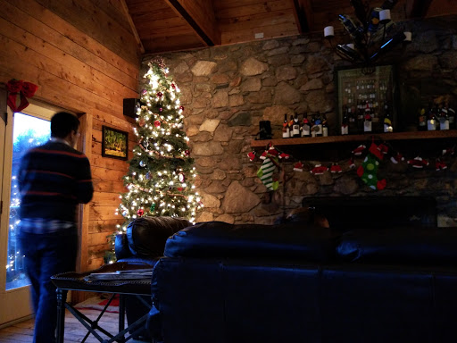 Vineyard «Naked Mountain Winery & Vineyards», reviews and photos, 2747 Leeds Manor Rd, Markham, VA 22643, USA