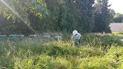 Marié père et fils apiculteurs à Esmery-Hallon