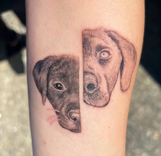 Explore bison tattoo ideas, creative tattoo ideas in North Billerica, available at Blackbird tattoo co.