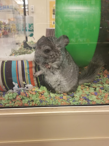 Pet Supply Store «PetSmart», reviews and photos, 5640 Cedar Lake Rd, Minneapolis, MN 55416, USA