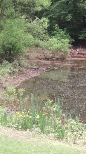 Golf Course «Gunpowder Golf Course», reviews and photos, 14300 Old Gunpowder Rd, Laurel, MD 20707, USA