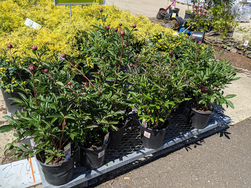 Home Improvement Store «The Home Depot», reviews and photos, 782 PA-113, Souderton, PA 18964, USA