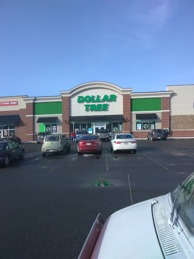 Dollar Store «Dollar Tree», reviews and photos, 640 Chestnut Commons Dr, Elyria, OH 44035, USA