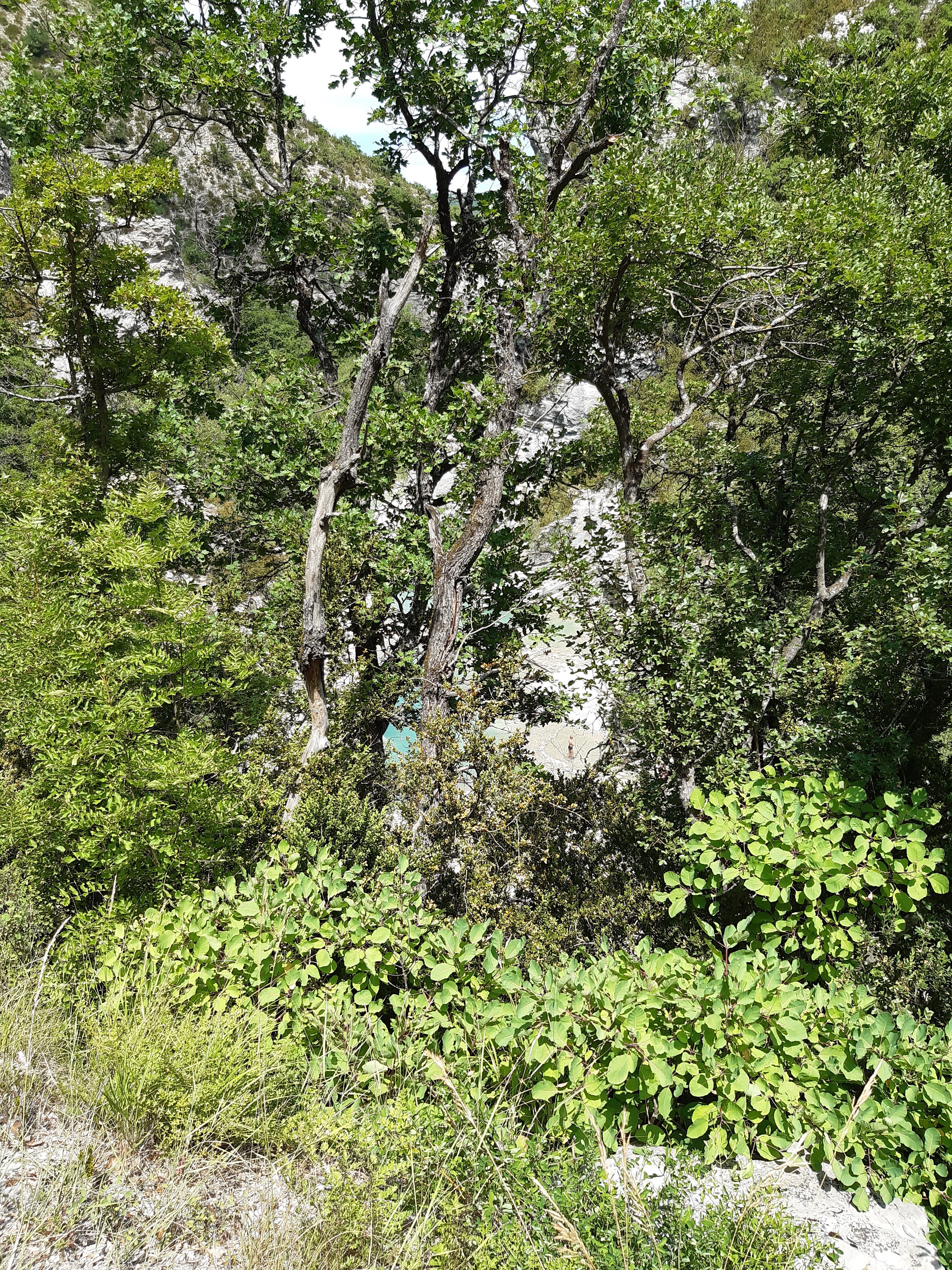 Photo n° 14 de l'avis de Sylvie.a fait le 21/07/2021 à 13:53