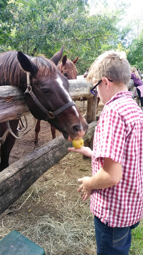 Horseback Riding Service «Grandpa Jeffs Trailrides», reviews and photos, 5889 S Skinner Rd, Morgantown, IN 46160, USA