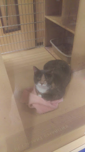 Pet Supply Store «PetSmart», reviews and photos, 7340 W 191st St, Tinley Park, IL 60487, USA