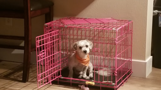 Pet Groomer «Woof Gang Bakery & Grooming Las Vegas», reviews and photos, 7080 N Durango Dr #140, Las Vegas, NV 89149, USA