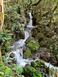 Ketetahi Falls