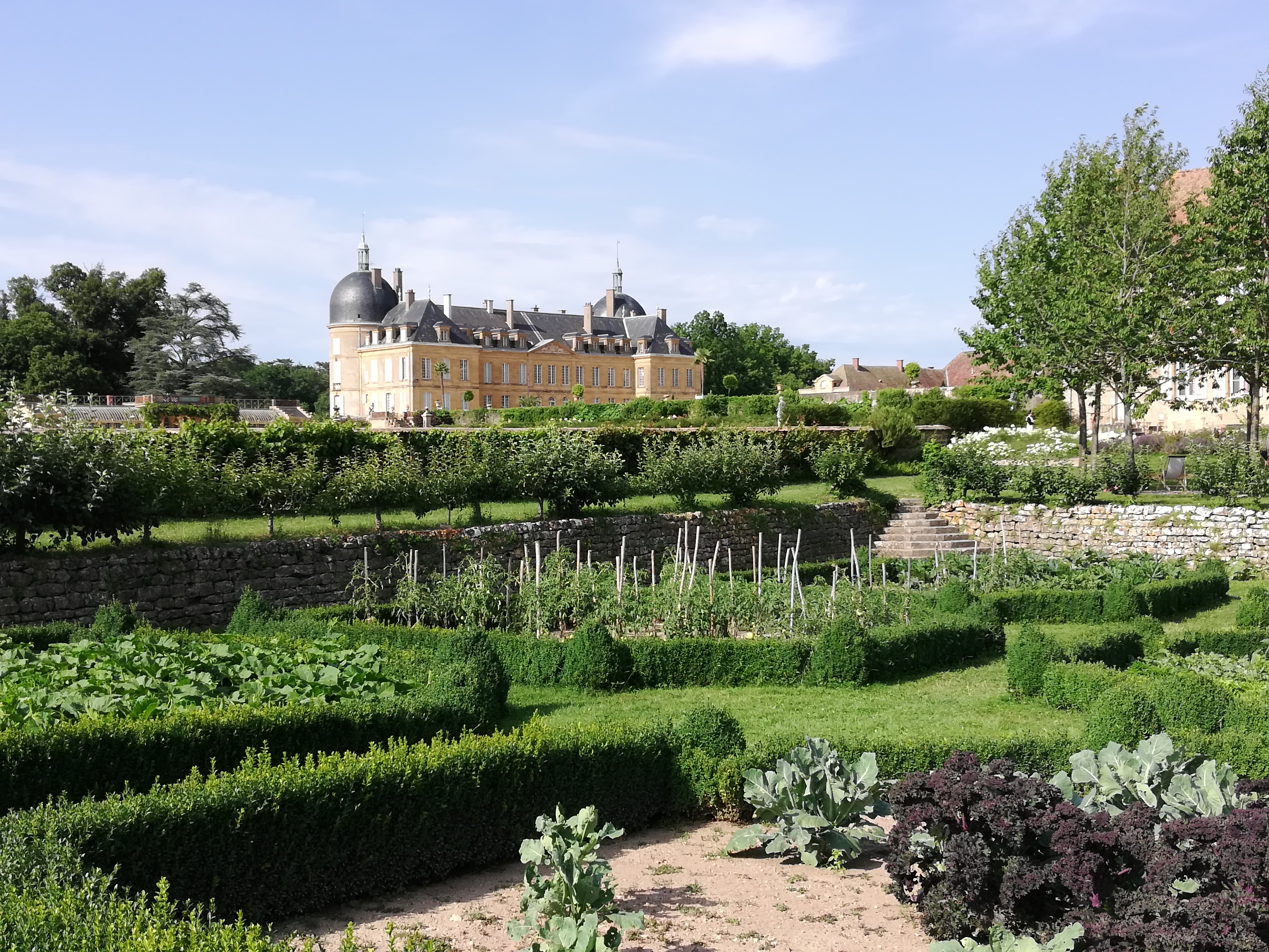 Photo n° 1 de l'avis de patricia. fait le 03/07/2022 à 17:48