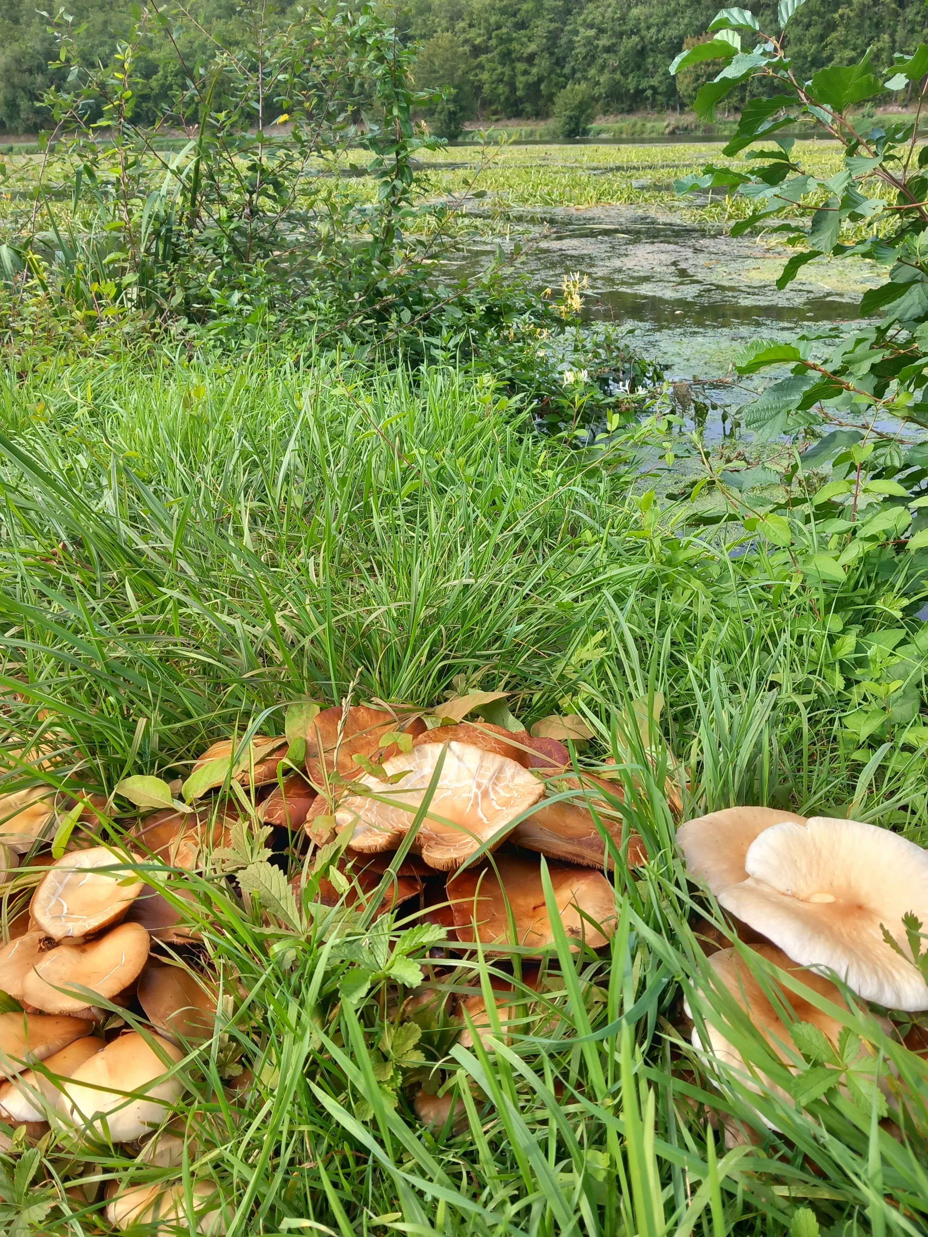 Photo n° 3 de l'avis de cassandre.i fait le 24/10/2023 à 13:47