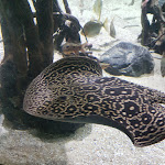 Photo n° 6 de l'avis de Janna.e fait le 31/07/2023 à 15:55 pour Palais de la Porte Dorée à Paris