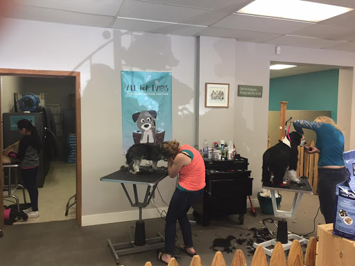 Pet Groomer «All For Paws», reviews and photos, 246 W Manson Hwy #6, Chelan, WA 98816, USA