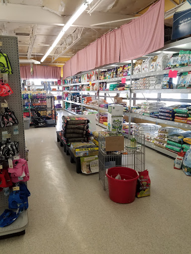 Pet Store «Petland Plano», reviews and photos, 1301 Custer Rd #405, Plano, TX 75075, USA
