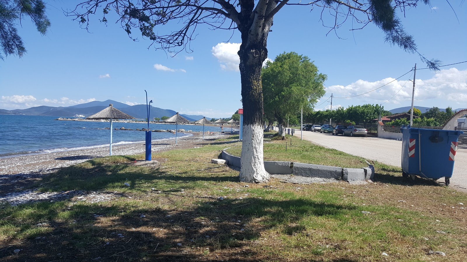 Foto von Almirou beach befindet sich in natürlicher umgebung