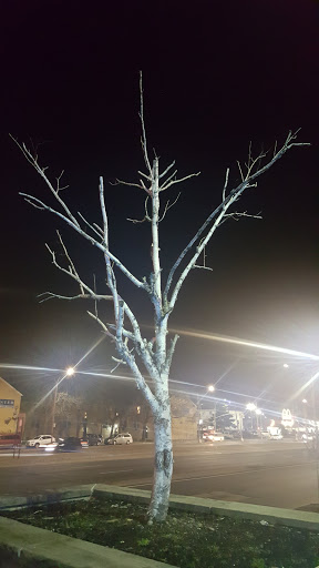 Movie Theater «Linden Boulevard Multiplex Cinemas», reviews and photos, 2784 Linden Blvd, Brooklyn, NY 11208, USA