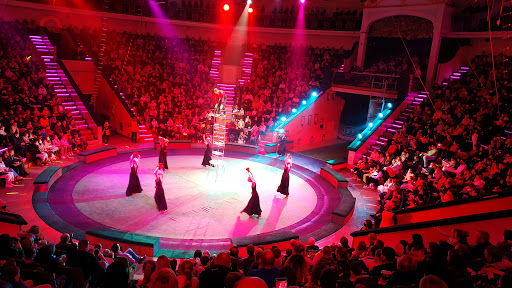 Circus shows in Minsk
