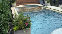 Star of Texas Landscape - Photo 2 - Car repair in , McKinney