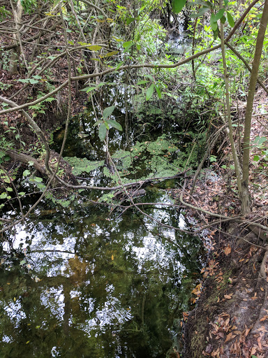 Recreation Center «Balm Park Recreation Center», reviews and photos, 14747 Balm Wimauma Rd, Wimauma, FL 33598, USA