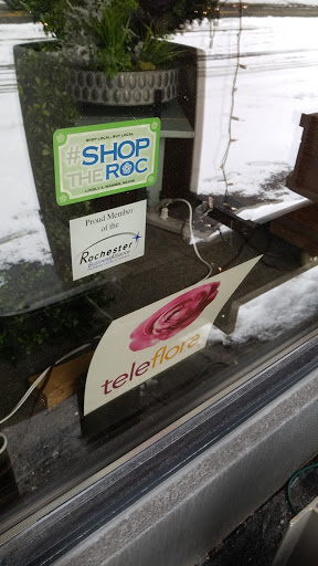 Florist «Wisteria Flowers & Gifts», reviews and photos, 360 Culver Rd, Rochester, NY 14607, USA
