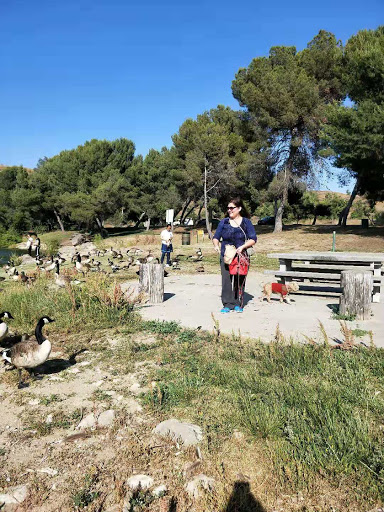 Bonelli Bluffs RV Resort & Campground image