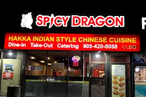 Spicy Dragon image