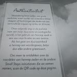 Photo n°6 de l'avis de Pavel.o fait le 15/07/2023 à 12:46 sur le restaurants Le Pain Quotidien Graanmarkt à Antwerp