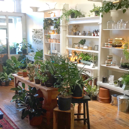 Florist «Fleur de Lis Fresh Flowers», reviews and photos, 516 Selby Ave, St Paul, MN 55102, USA