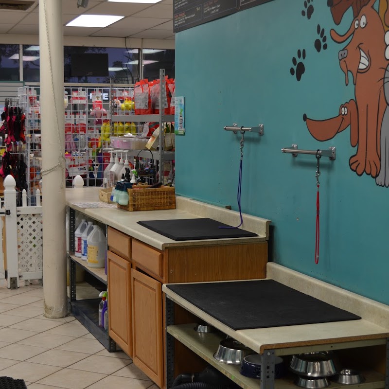 Dunk'N Dogs Dog Wash and Grooming and Pet Food and Supplies