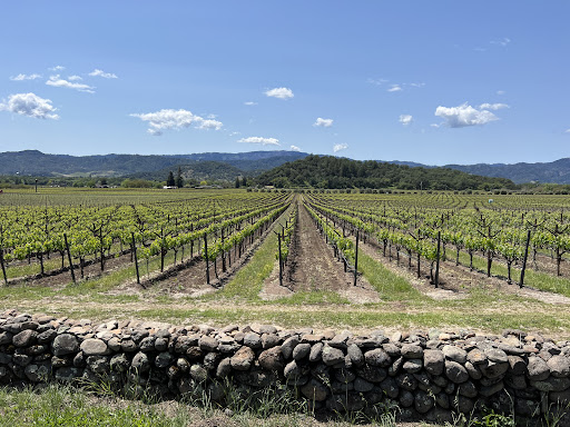 Bicycle Rental Service «Napa Valley Bike Tours & Rentals», reviews and photos, 6500 Washington St, Yountville, CA 94599, USA