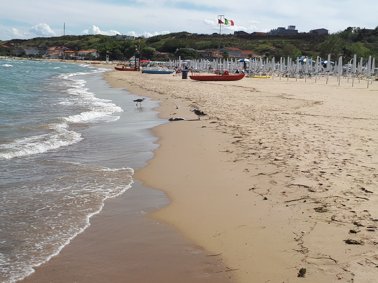 Spiaggia di Rio Vivo photo #9