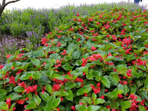 Insurance Agency «Primerica», reviews and photos