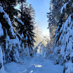 Photo n°4 de l'avis de Jochen.c fait le 15/01/2022 à 14:19 sur le  Taufsteinhütte à Schotten