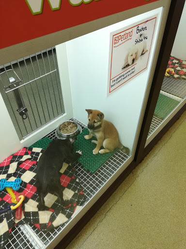 Pet Store «Petland Hilliard», reviews and photos, 5253 Nike Dr, Hilliard, OH 43026, USA