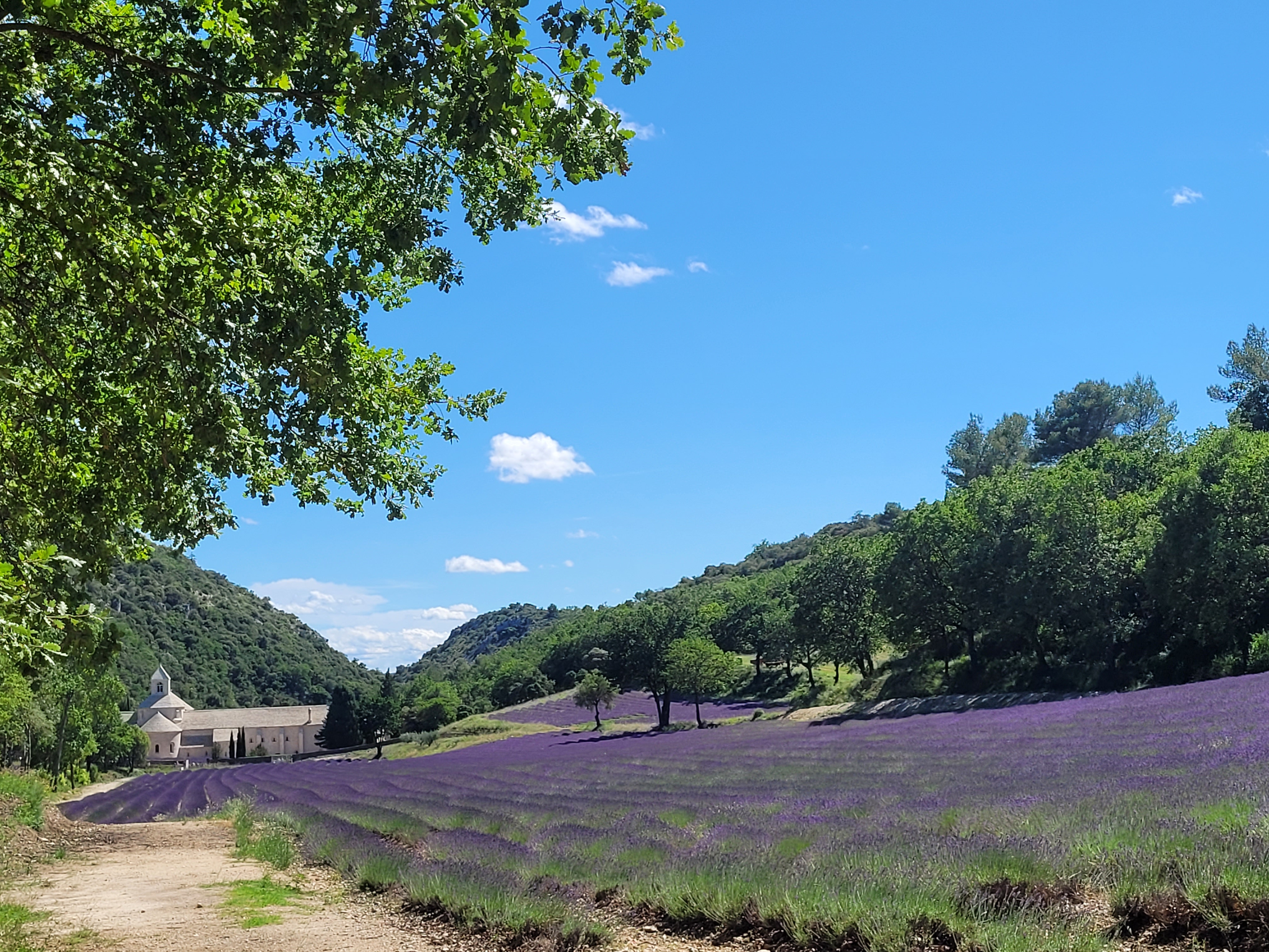 Photo n° 21 de l'avis de Olga.e fait le 07/07/2023 à 14:21