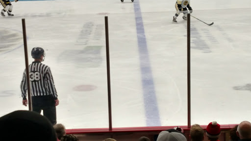 Hockey Club «Muskegon Lumberjacks Hockey», reviews and photos