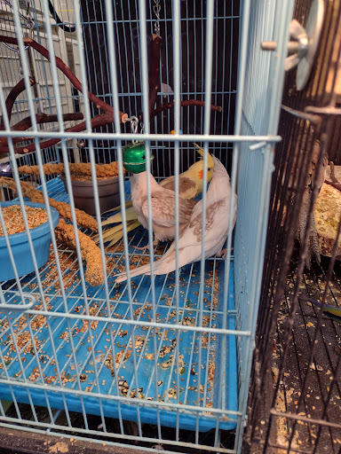 Pet Supply Store «Pet Care Inc.», reviews and photos, 2500 East Cesar E Chavez Avenue, Los Angeles, CA 90033, USA