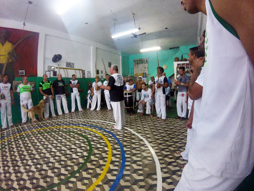 Grupo Terra Capoeira