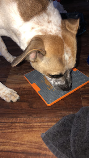 Pet Supply Store «Brown Dog Bakery», reviews and photos, 2310 SE Delaware Ave, Ankeny, IA 50021, USA