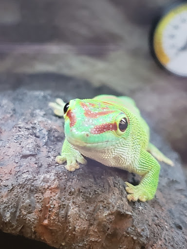 Pet Supply Store «Petco Animal Supplies», reviews and photos, 11639 S Pkwy Plaza Dr, South Jordan, UT 84095, USA