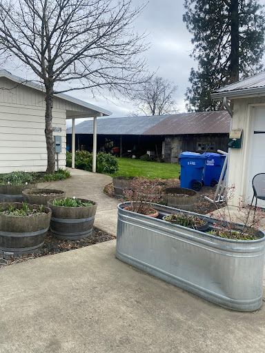 Bakery «Camas Country Bakery and Store», reviews and photos, 91948 Purkerson Rd, Junction City, OR 97448, USA