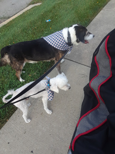 Pet Store «7 Seas Pet Care Center», reviews and photos, 13311 S Brandon Ave, Chicago, IL 60633, USA