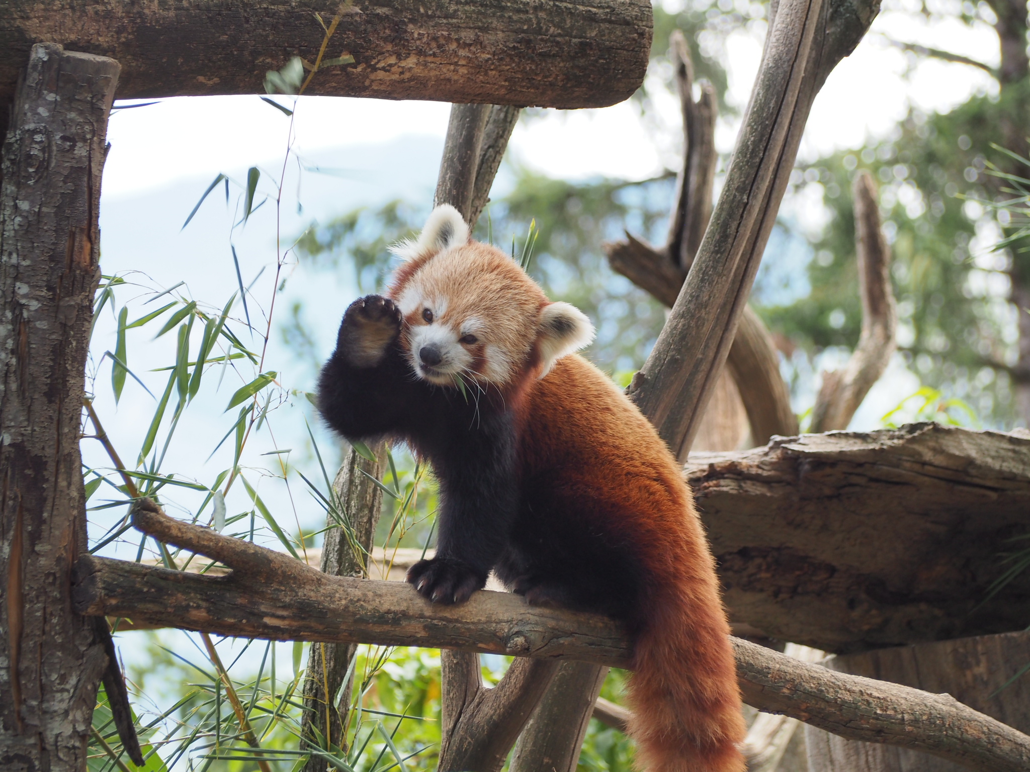 Photo n° 10 de l'avis de Carole. fait le 22/08/2022 à 21:38