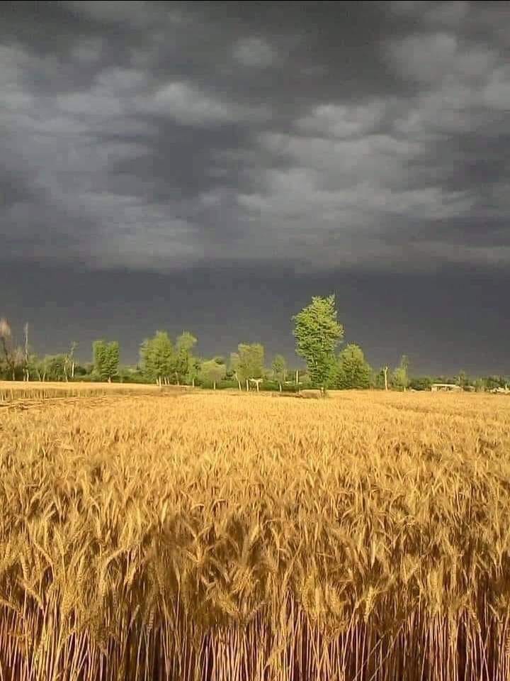 अभिमन्यु दनगस फ़ार्महाउस