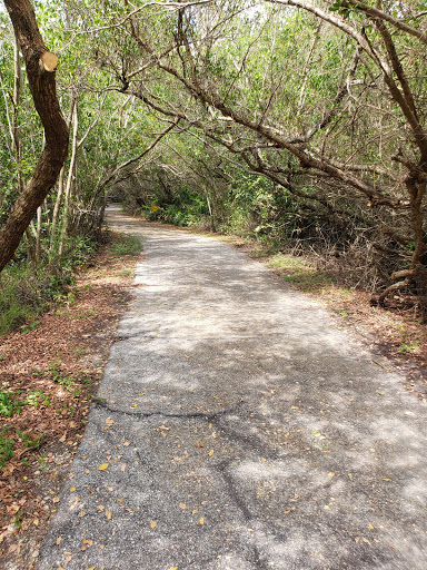 Nature Preserve «Perico Preserve», reviews and photos, 11700 Manatee Ave W, Bradenton, FL 34209, USA