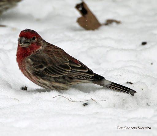 Gym «CrossFit New Haven», reviews and photos, 1175 State St # 201, New Haven, CT 06511, USA