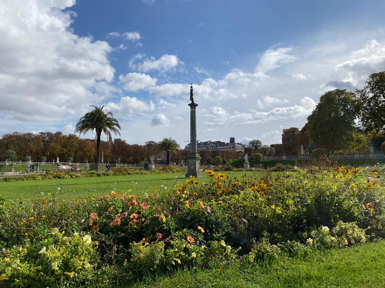 Photo n° 2 de l'avis de Gilbert.m fait le 15/10/2020 à 06:11