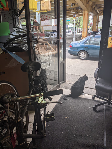 Bicycle Store «Bicycle Station», reviews and photos, 171 Park Ave, Brooklyn, NY 11205, USA
